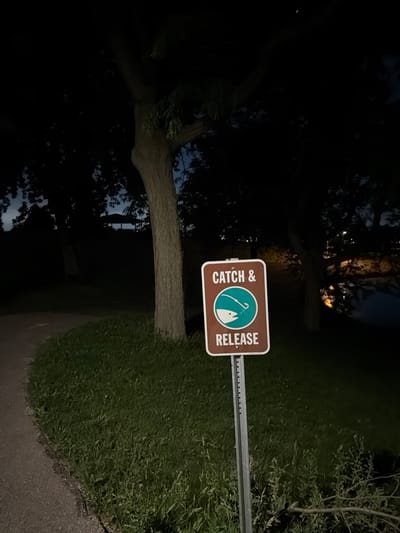 A "Catch & Release" fishing sign is mounted on a metal pole in the foreground, positioned in front of a grassy area. The sign features a brown background with white text and a teal circular graphic depicting a fish being caught by a hook. To the left of the sign, a paved path curves away into the darkness. Behind the sign and grassy area, silhouetted trees create a dark backdrop, with a hint of twilight sky visible through their branches. In the distance, across a body of water, faint lights suggest a park or residential area. The scene appears to be in a park or natural area within the city of Vernon Hills, Illinois, USA.