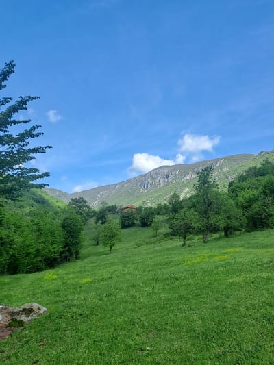 The image presents a landscape in Zverino, Bulgaria, with a view of a mountain slope adjacent to a grassy field. The sky is predominantly blue with scattered white clouds. A small, brown structure is nestled amidst the trees halfway up the slope. The foreground includes vibrant green foliage and a rocky outcrop.