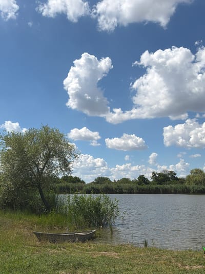 This media file depicts a serene waterside scene under a bright blue sky filled with fluffy white clouds. The setting appears to be a tranquil natural area, likely a lake or riverbank, with lush green grass lining the foreground and a dense line of trees forming a backdrop along the water's edge. The water itself is calm, with gentle ripples reflecting the sky.
A notable object in the scene is a long, narrow boat, possibly a canoe or kayak, resting partially in the water and partially on the grassy bank, nestled amongst reeds. Its presence suggests a leisurely activity like fishing or paddling might be enjoyed here, though no people are visible in the frame, lending to the peaceful and undisturbed atmosphere.
The time of day is clearly daytime, indicated by the bright sunlight and clear sky. The weather appears to be fair and pleasant, ideal for outdoor activities. The presence of abundant vegetation, including trees and tall grasses, suggests a location in a temperate climate. While the specific location is not visually identifiable beyond being a natural body of water, the provided context places it in Karla Marksa, Russia. The overall mood evoked by the image is one of peacefulness and natural beauty. There is no visible text in the image.