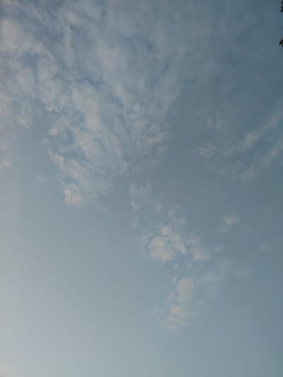 This media file captures a view of a pale blue sky filled with wispy, white clouds. The clouds are scattered across the frame, with some appearing more dense and others more diffused. The overall impression is of a bright, open sky, suggesting fair weather. The image appears to be a photograph taken outdoors, looking upwards. There are no people or distinct objects visible, with the sole subject being the sky and its cloud formations. The lighting suggests it is daytime, possibly late afternoon or early morning given the softness of the light and the pale blue hue of the sky. There is no visible text within the media file. The scene is serene and uncluttered, focusing entirely on the natural beauty of the sky.