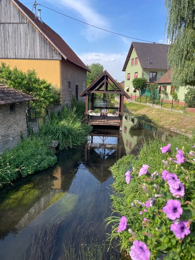 This is an image of a picturesque canal or river running through a village. On the left side of the image, there are two buildings. The building in the foreground is a rustic structure with a weathered wooden facade and a sloping, dark-tiled roof. It also has a yellow section of wall. Behind it, another building has a green facade, a dark-tiled roof, and red-trimmed windows.
A wooden bridge or structure crosses the canal. The canal itself is bordered by lush green vegetation, including tall grasses and flowering plants, notably purple petunias in the foreground. The water is clear, reflecting the buildings and the sky, and appears to have aquatic plants growing beneath the surface.
The scene suggests a peaceful, rural setting. The lighting indicates it is daytime, likely late morning or early afternoon, with bright sunlight casting reflections on the water and illuminating the vegetation. The sky is blue with some scattered clouds.
There are no people visible in the image, nor any explicit text. The overall impression is one of tranquility and natural beauty, enhanced by the charming architecture and vibrant plant life. The location context places this scene in Gerstheim, France.