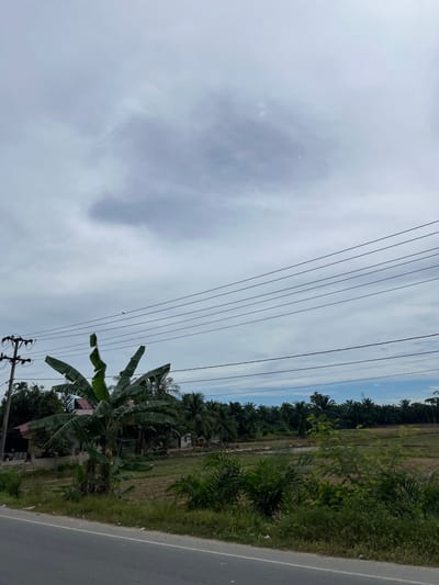 The image shows a rural scene in Seunebobaru, Indonesia, under a cloudy sky. A paved road runs along the bottom of the frame, with a grassy shoulder. To the left of the road, a utility pole with wires stands near a house with a red roof, surrounded by trees and vegetation, including a prominent banana tree. In the background, a field is visible, bordered by a dense line of palm trees. Several parallel electrical wires are strung across the upper portion of the image. A small bird is perched on one of these wires. The overall impression is of a quiet, somewhat overcast day in a tropical environment.