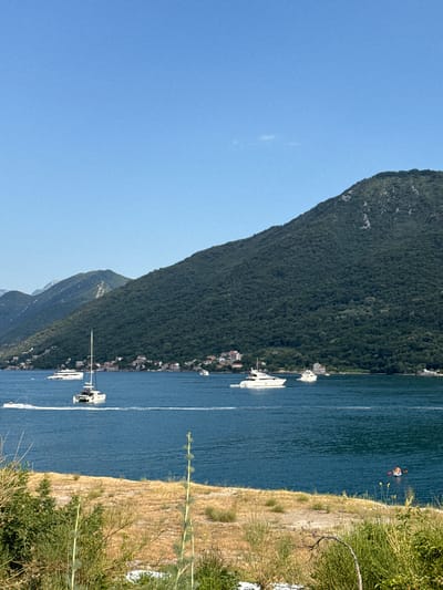This image captures a wide-angle view of the Bay of Kotor from Kostanjica, Montenegro. In the foreground, dry, golden grass and green vegetation are visible, with a few tall, slender plants. The middle ground is dominated by the deep blue waters of the bay, upon which several vessels are present. Two white yachts are sailing, one larger and more prominent in the center, and another smaller one further to the left. A catamaran is anchored near the shore, and a small inflatable raft with two people is visible to the right. In the background, a lush green, tree-covered mountain rises dramatically, forming the backdrop of the scene. Along the base of the mountain, a small, picturesque village with red-tiled roofs is nestled, indicating human habitation. The sky is a clear, bright blue with no clouds. The overall impression is one of a serene coastal landscape on a sunny day.