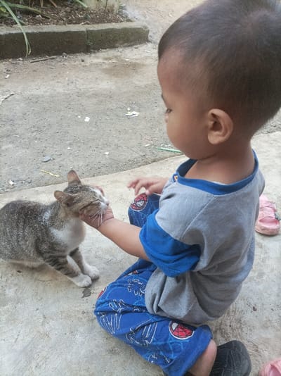 A young child is depicted crouching on a concrete surface in an outdoor setting in Pasir Muncang, Indonesia. The child, viewed from the upper back and right side, wears a grey and blue short-sleeved shirt and blue pants adorned with red Spider-Man logos. A black slip-on shoe is visible on the child's right foot. The child's right hand is extended to gently stroke the face and chin of a domestic short-haired cat, which is primarily tabby-patterned with white markings on its belly, paws, and face. The cat is positioned on the concrete, appearing to lean into the child's touch with eyes partially closed. In the background, a raised concrete curb separates the concrete surface from a patch of soil with minimal vegetation. Scattered small debris is visible on the concrete. A single pink children's sandal lies on the ground near the child's right foot.