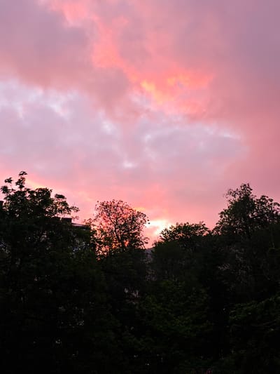 The image shows a sunset in Urozhaynyi, Russia. The sky is filled with pink and orange clouds. Silhouetted trees are in the foreground. A building is partially visible behind the trees.