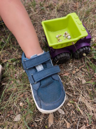 A close-up, high-angle shot shows a child's left leg and foot, clad in a blue sneaker with white soles and Velcro straps, positioned on dry grass and dirt. To the right of the foot is a toy dump truck with a bright green bed and a purple body. The dump truck's bed contains a collection of small snail shells. The background consists of more dry grass, twigs, and some fallen leaves, suggesting an outdoor, possibly park or garden, setting in Platja d'Aro, Spain. The lighting is natural and the image quality is clear, though some areas are slightly out of focus.