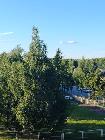 The image shows a bright, sunny day with a clear blue sky and a few wispy clouds. The foreground is dominated by lush green trees with dense foliage. In the middle ground, there is a paved road with several cars parked along its side, including a white sedan and two white SUVs. A fence separates the road from a grassy area. In the background, a dense forest stretches to the horizon. The scene appears to be a suburban or semi-rural area within the city of Verkhanovo, Russia.