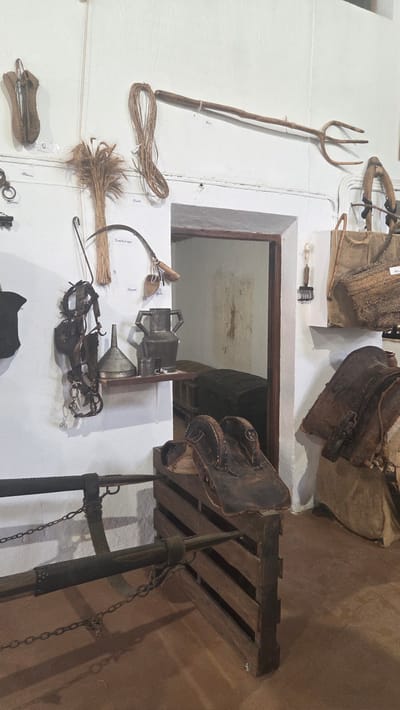 The image shows a collection of agricultural tools and equipment mounted on a white wall, likely in a museum or historical exhibit. The location is Altura, Spain.

Items visible include:
*   A wooden pitchfork
*   Rope
*   A bundle of straw or reeds
*   A sickle
*   Metal funnels
*   Animal traps
*   Leather saddlebags
*   A wooden yoke
*   Scales with chains

The artifacts are arranged haphazardly on the wall. The room has an interior space visible through a doorway. The color palette is dominated by browns, whites, and metallic greys, reflecting the materials and age of the objects.