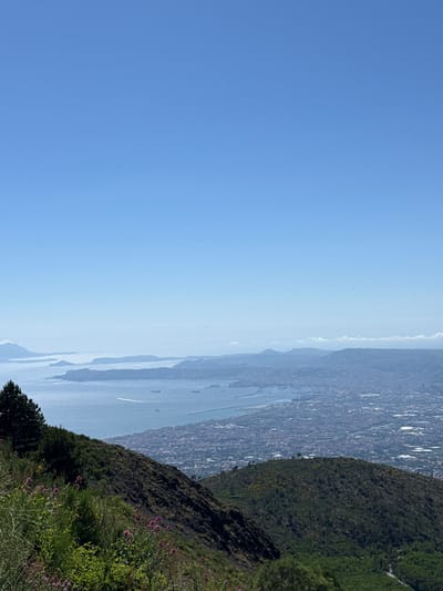The image captures a panoramic view from a high vantage point, likely Mount Vesuvius, overlooking the Bay of Naples and the city of Ercolano, Italy. The foreground is dominated by a steep, verdant hillside covered in dark, dense vegetation and dotted with small pink wildflowers and green bushes. A dark-barked pine tree stands prominently on the left side of the slope.

In the mid-ground, the expansive blue water of the bay stretches towards the horizon. Several ships, appearing as small white specks, are visible on the water. The coastline of Ercolano is a densely populated urban sprawl, characterized by a multitude of buildings with red-tiled roofs, stretching along the waterfront and extending inland. The city appears somewhat hazy in the distance.

The background features a series of islands and peninsulas emerging from the sea, with hazy mountains in the far distance. The sky is a clear, bright, and cloudless blue, suggesting a sunny day. The overall impression is one of a vast and sprawling coastal landscape, with the natural beauty of the mountainside contrasting with the urban development of the city below. No people are visible in the image.