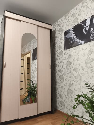 This media file captures an indoor scene, likely a bedroom or living area, within a residence in Malaya Valyaevka, Russia. The primary object in the frame is a large, light-colored sliding door wardrobe with a tall, arched mirror on one of its doors. The mirror reflects a hallway with closed doors and a potted green plant with glossy leaves, suggesting an interior space with some greenery.
To the right of the wardrobe, the wall is adorned with light grey floral wallpaper. A large black and white poster is prominently displayed on this wall, featuring a silhouette of a figure with large, feathered wings against a cloudy sky. The style of the poster suggests it might be related to anime or a fantasy theme.
The flooring appears to be wooden, with a warm, polished finish. The lighting in the scene is soft, indicating it is likely daytime, though the exact time of day is not discernible. There are no people visible in the image. The overall impression is one of a lived-in, somewhat minimalist interior space. There is no visible text in the image.