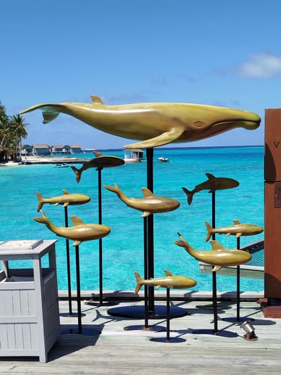 A golden whale sculpture is prominently displayed against a bright blue sky and turquoise ocean. Below the whale, multiple smaller golden shark sculptures are mounted on black poles at varying heights. In the background, overwater bungalows and palm trees line the shore, with a jet ski visible in the water. The sculptures are situated on a wooden pier. To the left, a light gray trash receptacle with the label "GENERAL WASTE" is visible. The scene is set in Gulhi Falhu, Maldives, known for its clear waters and overwater accommodations.