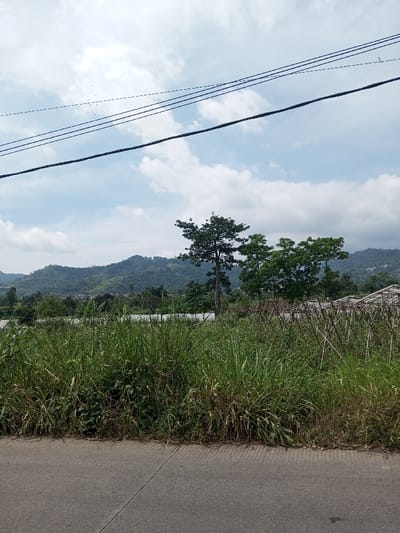 This image depicts a rural or semi-rural landscape located in Namthoung, Laos, under a partly cloudy sky. The foreground features a grey asphalt road segment occupying the bottom portion of the frame, marked by a faint, lighter seam running diagonally from the center-bottom towards the lower right. Immediately adjacent to the road, a dense expanse of overgrown green and brown grasses and weeds extends upwards, forming a barrier across the width of the image.
Beyond this foreground vegetation, the midground reveals several trees: a prominent tall tree with dark green foliage stands centrally, flanked by two shorter trees with lighter green leaves to its right. To the far right in the midground, a structure composed of numerous slender, dark stakes or poles arranged in a patterned formation is visible. Further back, obscured by vegetation and trees, indistinct light-colored structures, possibly rooftops or agricultural shelters, are discernible.
The background consists of a range of lush, green, tree-covered hills and mountains stretching across the entire horizon. Small, indistinct clusters of buildings can be observed on the lower slopes of these distant hills. The sky above is pale blue with scattered white cumulus clouds. Four dark utility wires traverse horizontally across the upper third of the image. No individuals, animals, or active vehicles are present in the scene.