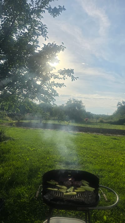 The image depicts an outdoor scene in Rudnik, Bulgaria, under a bright, partly cloudy sky with the sun visible through tree foliage on the left side, indicating daylight hours. In the lower right foreground, a black, circular charcoal barbecue grill is positioned on a vibrant green grassy surface. On the grill grate, multiple items of food are visible: several dark brown meat patties and numerous elongated, light green slices of zucchini, all undergoing a cooking process, with discernible white smoke rising from the grill. The background features an expansive rural or garden landscape, consisting of numerous deciduous trees, some smaller shrubs, and areas of tilled earth interspersed with green vegetation. No individuals are visible within the frame.