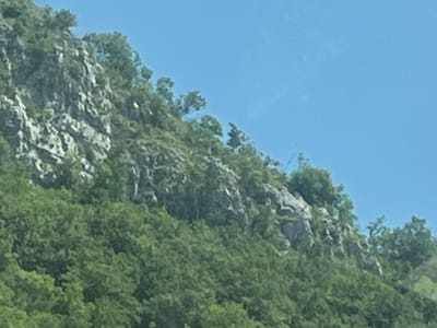 The image depicts a rugged, rocky mountainside covered in dense green foliage. The rocks appear weathered and uneven, with patches of lighter and darker gray. Numerous trees and shrubs cling to the slopes, their leaves forming a thick carpet of green. The sky above is a clear, bright blue, suggesting a sunny day. The scene appears to be in a natural, mountainous environment, likely a rural or undeveloped area. There are no discernible people, man-made structures, or specific landmarks visible to pinpoint a precise location within the city of Dragalj, Montenegro.
