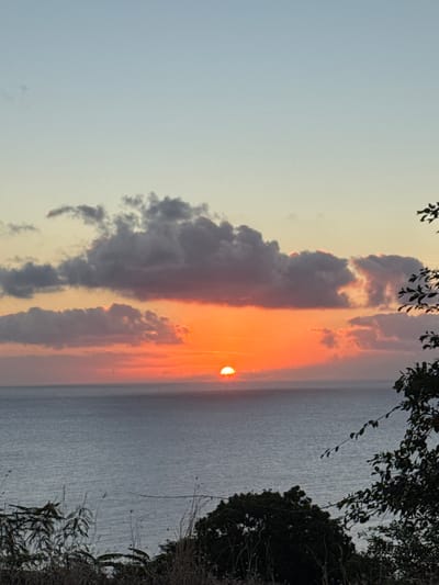 A wide-angle shot captures a sunset over the ocean. The sky transitions from a pale blue at the top to a vibrant orange and pink hue near the horizon. Dark, textured clouds are scattered across the sky, illuminated from behind by the setting sun. The sun, a bright orange orb, is partially obscured by a cloud on the right side of the frame, sinking towards the ocean. The ocean itself is a muted grey-blue, with subtle ripples on its surface. In the foreground, silhouetted against the sea and sky, are dark green trees and dry, wispy grasses. The scene appears to be a natural coastal landscape. The location is Christmas Island, Australia.