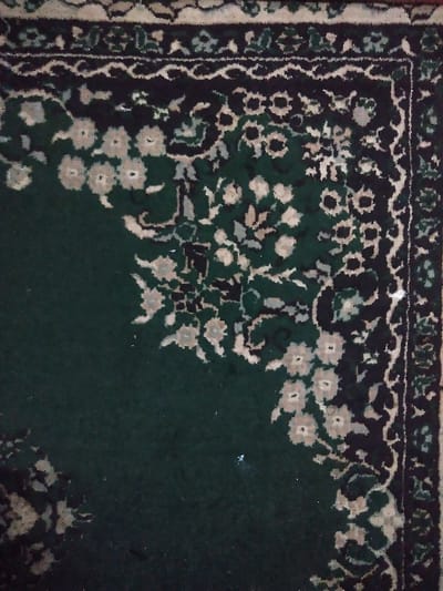 The image presents a close-up, overhead view of a section of a dark green textile carpet. The carpet features an intricate ornamental pattern. The primary field is a solid dark green. A distinct multi-layered border is visible along the top and right edges of the frame. This border consists of a dark band with light beige or off-white undulating patterns, a lighter beige or off-white band with smaller dark green or black geometric motifs, and an outermost band of light color displaying darker, more complex floral or scroll designs. Within the dark green main field, stylized floral elements in beige or off-white and lighter green hues are dispersed, particularly congregating near the upper right quadrant and extending towards the center and lower left. The texture suggests a woven, possibly cut-pile, fabric. There are no individuals, other distinct objects, discernible actions, or environmental details beyond the carpet itself. The image provides no visual information to determine its specific location within the city of Chimay, Belgium.