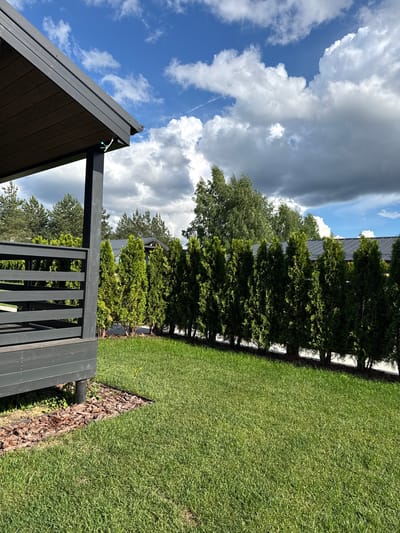 This is a high-angle, landscape orientation, outdoor photograph taken in Жостово, Russia. The scene depicts a backyard on a bright, partly cloudy day. The foreground features the dark wooden roof and railing of an outdoor structure, possibly a gazebo or pergola. Beyond this structure is a vibrant green lawn that extends to the right of the frame. A border of mulch and some low-lying greenery separates the lawn from a dense line of dark green evergreen trees. Behind the evergreens, a building with a dark roof is partially visible, suggesting a residential area. The sky is a prominent feature, with a mix of bright blue sky and dramatic, voluminous white and grey clouds. A thin contrail is visible in the upper left portion of the sky. The lighting suggests it is daytime, likely late morning or early afternoon, with the sun casting shadows. The overall mood is serene and highlights a well-maintained outdoor space. No people or text are visible in the image.