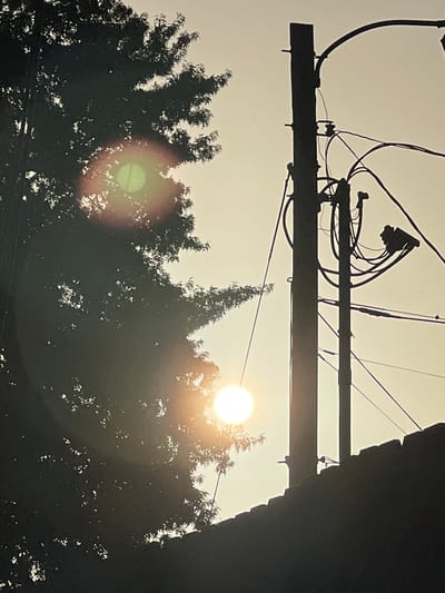 The image depicts a silhouette of a tree and utility poles against a hazy, bright sky, possibly at sunset or sunrise. The sun is visible as a bright orb, partially obscured by the foliage of the tree on the left side of the frame. The tree's leaves create a dappled effect, with light filtering through them. A cluster of utility poles and wires are prominent on the right side, silhouetted against the sky. A dark, textured roofline is visible along the bottom edge of the image. The overall impression is one of an urban or suburban landscape viewed during a period of low light. The location is identified as the city of Columbia, United States of America, though no specific landmarks are identifiable within the image itself to confirm this.