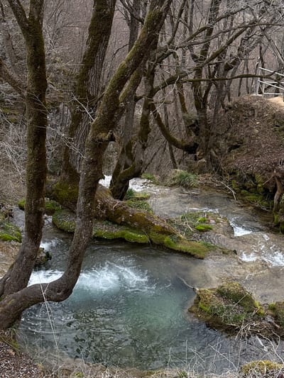The image displays a natural landscape scene within Cajetina Municipality, Serbia. No individuals are present. The primary subjects are a flowing stream and numerous deciduous trees, many of which are bare-branched, indicating a cold-weather season.
In the foreground and midground, several substantial tree trunks, heavily covered with green moss, frame the left side of the image. A large, moss-covered log lies horizontally across the stream, originating from the left bank. The stream's water is clear, exhibiting a light turquoise coloration in a deeper pool located in the lower-left quadrant, where white surface agitation indicates turbulent flow. Upstream, the water traverses over and around a series of moss-covered rocks and smaller land formations. The stream banks consist of exposed soil, rocks, and sparse, dried vegetation.
The background features a dense, bare forest extending upwards on a slope. A silver-colored, two-bar metal railing, consistent with a pathway or observation point, is partially visible on the upper-right edge of the image, positioned on an elevated, eroded bank.