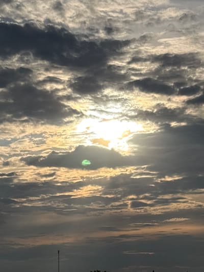 The image depicts a dramatic sky filled with thick, textured clouds illuminated by the sun. The sun is a bright, almost overwhelming presence in the center-left of the frame, its rays piercing through the clouds and creating a dramatic, high-contrast effect. The clouds are a mix of dark grays and whites, with the edges catching the golden light of the sun. This suggests either sunrise or sunset. There is a slight green lens flare in the upper right quadrant of the sun's glow, possibly from the camera lens. The overall scene is one of natural grandeur and possibly a hint of an approaching storm or the clearing after one. The image is oriented vertically, making the clouds appear to stretch upwards and downwards. On the far right edge of the frame, a sliver of a dark silhouette of what appears to be foliage or trees is visible, along with a tall, thin structure that resembles a utility pole or antenna. The scene is likely outdoors, given the sky and the natural elements at the edge. The time of day is either dawn or dusk, indicated by the low angle and intense color of the sun. The weather appears dynamic and possibly turbulent, given the density and varied shading of the clouds. There is no visible text.