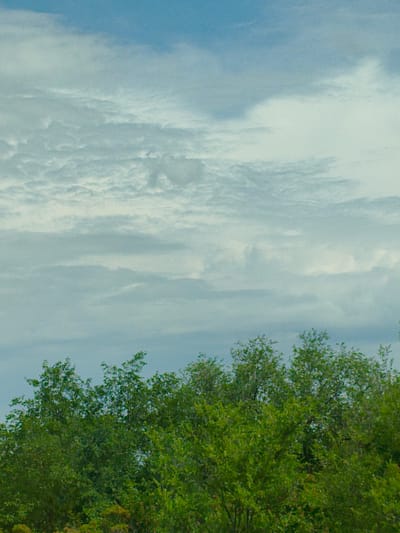 The image shows a landscape view with a prominent green canopy of trees in the foreground and a sky filled with clouds in the background. The sky transitions from a lighter blue near the top to a muted gray-blue towards the horizon. The clouds are varied, with some appearing wispy and others more dense and textured. The trees are lush and appear to be in full foliage, with a dense and uneven upper edge. The scene is likely outdoors and appears to be a natural or semi-natural environment. There are no people, man-made structures, or specific landmarks visible to indicate the exact location within Buzuluk, Russia, but it depicts a typical natural setting that could be found in or around the city, such as a park, forest edge, or rural landscape.