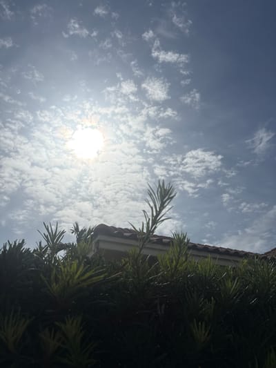 The image captures a bright, sunlit sky with scattered white clouds. The sun is a prominent, luminous orb in the lower left quadrant, its rays diffused by the atmospheric conditions. To the right, the edge of a building with terracotta roof tiles is visible, partially obscured by the lush green foliage of a coniferous tree. The perspective is looking upwards, suggesting the viewpoint of someone outdoors. The time of day appears to be midday or early afternoon, given the intensity of the sunlight and the position of the sun. The weather seems pleasant, with a clear blue sky and a moderate amount of cloud cover. The setting evokes a residential outdoor space, possibly a backyard or garden area, with a house and surrounding vegetation. There are no people or text visible in the image. The overall mood is one of brightness and warmth, characteristic of a sunny day in a suburban or tropical environment like Delray Beach, Florida.