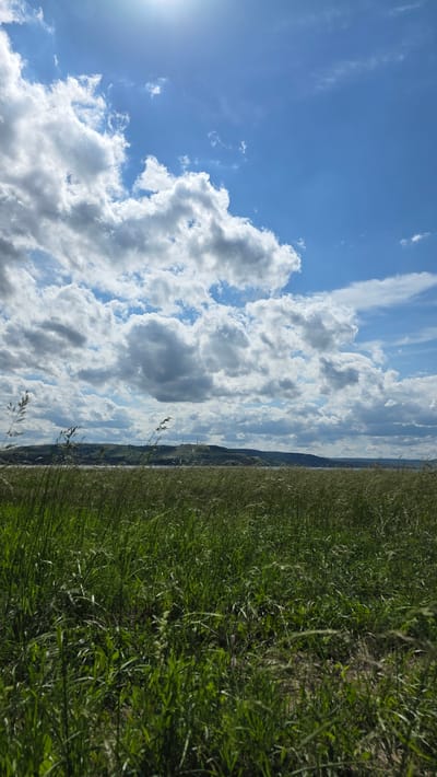An outdoor, vertical, eye-level shot captures a sunny day with a vast blue sky filled with fluffy white clouds. In the foreground, tall green grass sways gently, creating a lush meadow. In the middle ground, a body of water is visible, beyond which lies a distant hilly landscape with scattered trees and some structures. The scene appears to be set in or near Купоярово, Russia, evoking a sense of natural beauty and tranquility.