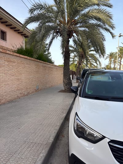 The image depicts a street scene in Urbanización Cabo Roig, Spain. A white car is parked at the curb, with its front right headlight and portion of the hood visible. Behind the white car, a dark-colored car is also parked. The street is lined with a textured concrete sidewalk and a grey curb. A tall brick wall, with a decorative patterned border at the top, runs alongside the sidewalk. A pink building with a tiled roof and a window is visible beyond the wall. Several palm trees are prominently featured, with their fronds arching over the street and sidewalk. The sky is a clear, light blue. A lamppost is visible in the background.