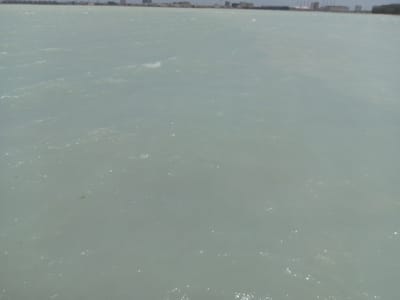 The image depicts a body of water, possibly the Persian Gulf, with a cityscape visible in the background, indicative of Al Khobar, Saudi Arabia. The water surface is rippled, suggesting a slight breeze. No people, subjects, or interactions are visible. The environment suggests an urbanized coastal area.