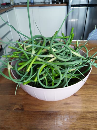 A light pink bowl is filled with green garlic scapes. The bowl is placed on a wooden table. In the background, a kitchen counter and stainless steel appliances are visible. The image is taken from a slightly elevated angle. There are no people in the image. The scene is indoors, likely in a domestic kitchen. The location is Sverdlovskiy, Russia.