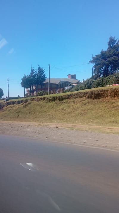 A sunny day reveals a building with a chimney and green roof situated on a grassy hill. Telephone poles line the hilltop, interspersed with trees. The bottom of the frame shows a road or path in the foreground. The sky is a clear blue. The building appears to be a structure that may be a house or a restaurant based on the building's signage.