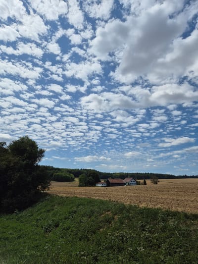The image depicts a rural landscape under a partly cloudy sky. In the foreground, a patch of lush green vegetation, including grass and some taller plants, occupies the lower left quadrant. To the right of this, a harvested field stretches into the middle ground, displaying a dry, textured surface of stubble and soil.
Further into the scene, a cluster of buildings forms a small settlement. The main structures appear to be houses, with one prominent white house and several other buildings, including what looks like a barn with a reddish-brown roof. These buildings are situated on the edge of the harvested field, adjacent to a dark green line of trees and forest that forms the background. The forest extends across the horizon, with rolling hills visible behind it.
The sky is a vibrant blue, dotted with numerous small, white, puffy clouds, creating a textured pattern. Larger, more diffused clouds are also present, particularly in the upper right portion of the sky. The overall impression is a serene, agricultural setting, likely in the countryside of Mengkofen, Germany, given the characteristic European architectural style of the buildings and the cultivated landscape. There are no people or animals visible in the image. The lighting suggests it is daytime, possibly late morning or early afternoon, with diffused sunlight.