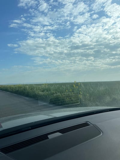 The scene is viewed from inside a car. The dashboard with a rectangular speaker grill is in the foreground. Through the windshield, a roadside with tall grass and small yellow flowers is visible. Beyond the field, the sky is blue with scattered white clouds. The location is not explicitly discernible as Svoboda, Bulgaria, based on the visual information provided. There are no people visible in the frame.