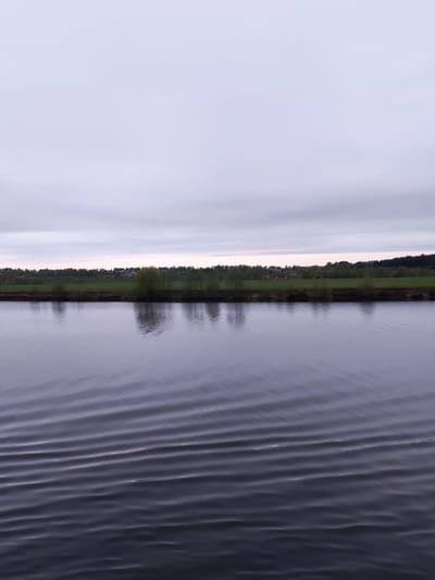 The image shows a body of water, likely a river or a wide stream, with gentle ripples on the surface. The opposite bank features a strip of land with green vegetation and a line of trees. Beyond the trees is a flat, green area that might be a field or meadow. The sky is overcast with a thick layer of grey clouds. It's difficult to confirm the location definitively as Фёдоровка, Russia based on the image alone, but the landscape is consistent with the general environment in that region.