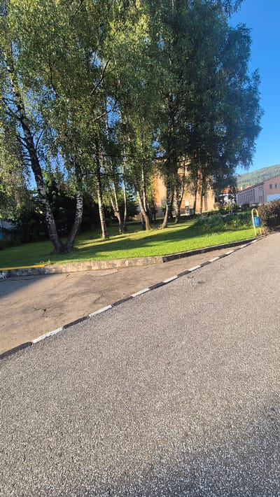 The image depicts a residential area in the town of Satovcha, Bulgaria. A paved road occupies the foreground, with a distinct gravel texture and a white and black striped curb. Adjacent to the road, a patch of grass is bordered by a low wall constructed from irregular stones. Beyond the grass, a line of birch trees with white bark stands tall, their green leaves casting shadows. In the background, several buildings are visible, including a light-colored multi-story structure with visible windows and another building with an orange facade. A yellow trash receptacle is situated near the edge of the grass. The sky is clear and blue. A small, white cat is walking on the paved area near the stone wall.