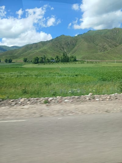 The image shows a rural landscape with rolling green hills in the background. The hills are covered in lush vegetation, with some patches of bare earth and scattered trees. A small cluster of trees is visible in the middle ground, possibly marking a settlement. In the foreground, there is a wide expanse of green fields, with rows of crops clearly visible in some areas. A dirt road or path runs along the edge of the fields, with a line of rocks and stones. A paved road is visible in the bottom portion of the image, indicating a potential point of view from a vehicle. The sky is blue with scattered white clouds. The image captures a serene natural scene, typical of rural Kyrgyzstan. The specific location in the city of Чоң-Таш, Kyrgyzstan, is consistent with this type of landscape.