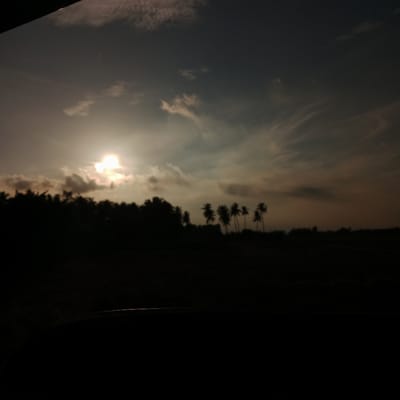 The image depicts a sunset over a silhouette of trees and palm trees in Cotbada, Indonesia. The sun is a bright, slightly diffused orb partially obscured by clouds. The sky is a gradient of grays, blues, and oranges, with wispy clouds stretching across the frame. The foreground is entirely dark, obscuring any details of the immediate environment or any potential subjects. The overall impression is of a natural landscape at dusk.