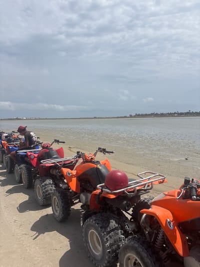 A line of ATVs is parked on a sandy shore facing a body of water under a cloudy sky. A person wearing a red hat and a black t-shirt is seated on one of the ATVs. The ATVs are of various colors, including red, blue, and orange. The water appears shallow and muddy, with ripples and patches of exposed sand. In the distance, a line of palm trees and buildings is visible along the horizon. The scene is likely located in Tezdaine, Tunisia, given the palm trees and coastal environment.