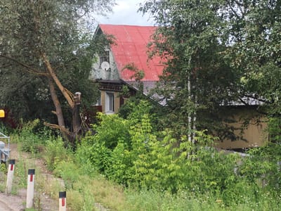 A medium shot captures a weathered, two-story wooden house with a red, corrugated metal roof, partially obscured by overgrown green foliage. The house, situated in the village of Kabanovo, Russia, appears to be an older structure with peeling paint on its upper story, revealing lighter wood underneath. A satellite dish is mounted on the left side of the upper gable. A single white-framed window is visible on the upper story, and another on the lower story, which is a lighter yellow color. The house is surrounded by lush vegetation, including trees and various plants, with some dry grass in the foreground. Several white posts with red reflective markers are strategically placed along a dirt path leading away from the viewer. The overall impression is one of a rural, slightly neglected setting.