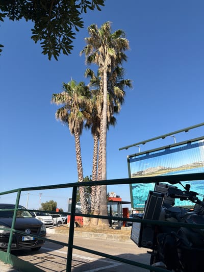 The image shows a view looking upwards at palm trees against a clear blue sky. In the foreground, there is a green metal railing and some foliage. A large billboard or advertisement is visible above and behind the palm trees, displaying a coastal landscape image. Further in the background, several parked cars are visible on a paved area, and a small construction vehicle is also present. The scene appears to be outdoors on a sunny day. The text "UNITY C" is partially visible on a sign behind the cars. The orientation of the image suggests it was taken with the camera held vertically.