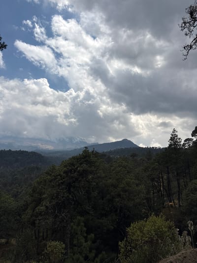 The image shows a mountainous landscape near San Mateo Ozolco, Mexico. The right side of the frame is dominated by a dense, dark green forest covering a mountainside. The left side features a dramatic sky filled with thick, grey and white cumulus clouds. Patches of blue sky are visible amongst the clouds. In the distance, other mountains are visible between the forest and the clouds. A sparse tree branch is visible in the upper left corner.