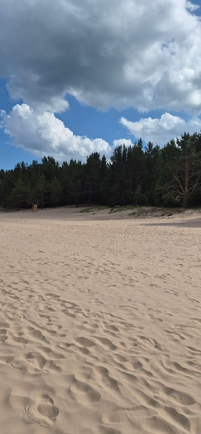 The image depicts a sandy beach adjacent to a dense forest of pine trees under a partly cloudy sky. The sand is marked with numerous footprints, suggesting recent human activity. In the distance, a yellow structure with a sunburst pattern is visible among the trees. The scene appears to be a natural outdoor environment, possibly a recreational area. There are no people or animals clearly visible in the frame. The overall impression is one of a tranquil, natural landscape. The location is identified as a beach in Motornoe, Russia.