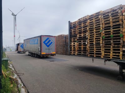 An outdoor, overcast, daytime scene in Maasmechelen, Belgium, features a port or industrial area. In the foreground on the right, a large truck trailer is parked, its side laden with stacks of wooden pallets. The trailer itself is dark, with its undercarriage visible, supported by landing gear on the right. The stacks of pallets continue into the middle ground, forming a dense wall of raw materials. To the left of the pallet stacks, a grey truck trailer with a blue geometric logo and the text "www.ewals.com" is parked and angled slightly away from the viewer. This trailer also displays a license plate that appears to read "OK-24-YG". Further to the left, another truck trailer is partially visible. In the background, two large wind turbines stand tall against the cloudy sky, one prominent and white with red accents on its blades, the other smaller and further away. A person in a yellow vest is visible walking in the distance near a building complex. The ground is paved asphalt, with a curb and some overgrown vegetation along the left edge of the frame. Two green refuse bins are also situated on the left.