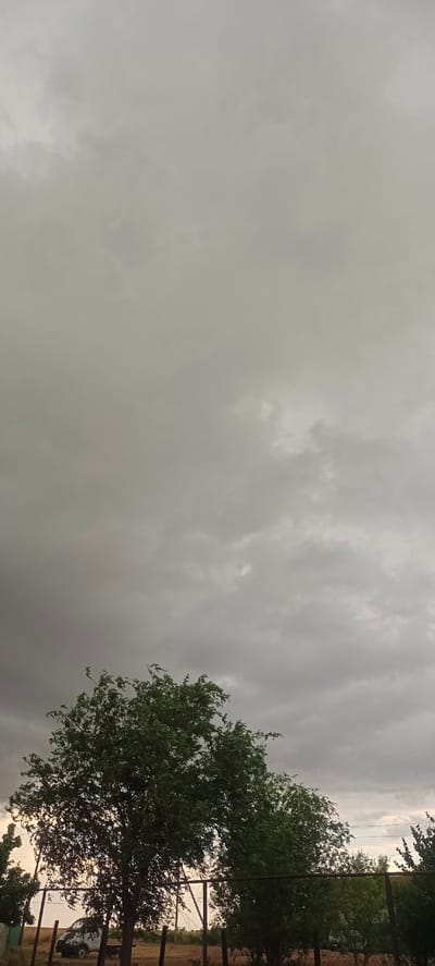 The image depicts an outdoor scene with a prominent overcast sky filling most of the frame. The clouds are a uniform grey, suggesting a cloudy or possibly rainy day. Below the sky, the upper branches of several trees are visible, featuring lush green foliage. A fence runs horizontally across the lower part of the image, partially obscuring the ground and some objects behind it.

In the background, through the trees and fence, a vehicle, possibly a van or truck, is partially visible. It appears to be parked. The overall setting seems to be rural or semi-rural, with hints of dry vegetation and fencing that could be around a field or property. The lighting is dim, consistent with the overcast weather, and there are no discernible signs of people or specific activities. The time of day is difficult to ascertain precisely due to the cloud cover, but the soft, diffused light might indicate late afternoon or early morning. There is no visible text in the image. The mood conveyed by the image is somewhat somber due to the cloudy sky. The location context is Dubovka, Russia.