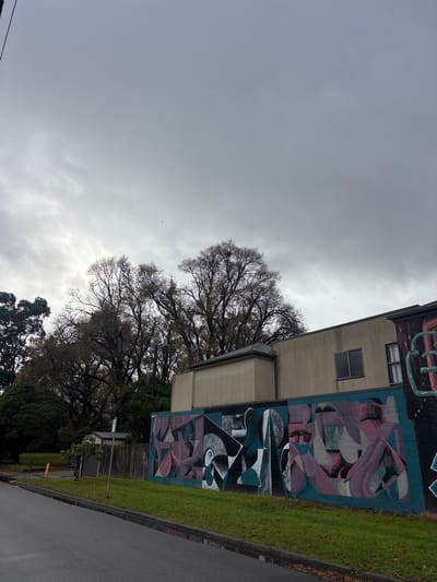 The image depicts a street scene in Brunswick East, Australia, under an overcast sky. The foreground features a wet asphalt road and a grey curb, with a strip of green grass bordering the sidewalk. A vibrant mural covers the lower section of a building wall. The mural is an abstract design featuring geometric shapes and organic forms in shades of teal, purple, pink, and grey. To the left of the mural, a wooden fence and a small shed are visible, partially obscured by a young tree and foliage. In the background, bare-branched trees dominate the skyline, their branches stark against the dull sky. A light-colored building with dark-framed windows rises above the mural. The overall atmosphere is somber and muted, characteristic of a cloudy day.