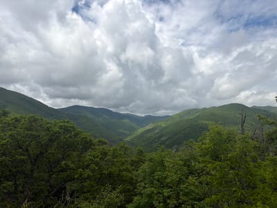 The image depicts a mountainous landscape in Tsodoreti, Georgia. Verdant, tree-covered mountains fill the midground, receding into the distance. A valley cuts through the mountains, revealing a glimpse of a distant, sunlit area. The foreground features dense foliage. The sky is overcast with heavy, gray clouds.