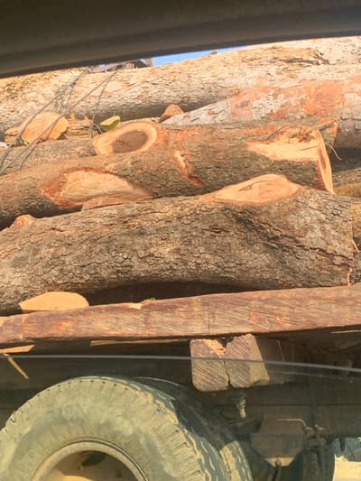 The scene depicts multiple large, cut timber logs loaded onto a heavy-duty transport truck in Abobo, Nigeria. The logs vary in size and display rough, textured bark and freshly cut ends, revealing reddish-brown wood and distinct tree rings. Some logs are partially debarked. A dark rope or cable is visible horizontally across the upper logs, likely for securing the load. Beneath the stacked logs, robust wooden support beams are discernible, forming part of the truck's bed structure. The left rear tire of the truck, a large and worn pneumatic rubber tire, is visible at the bottom of the frame, along with parts of the truck's suspension system. The image is taken outdoors under bright sunlight, with a clear blue sky visible at the very top. No individuals are present in the visible portion of the image.