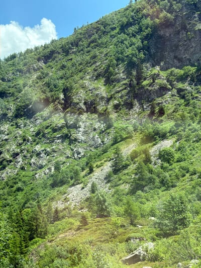 The image depicts a steep, rocky mountainside covered in dense green vegetation and trees, characteristic of the alpine environment. The terrain is rugged, with exposed rock faces interspersed with patches of grass and small trees. In the upper left quadrant, a bright blue sky with scattered white clouds is visible. The overall scene suggests a natural, undeveloped landscape, likely in a mountainous region. While the prompt mentions Vallorcine, France, the image itself does not contain any specific landmarks or clues to confirm this location. The focus is on the natural elements of the mountain and its flora.