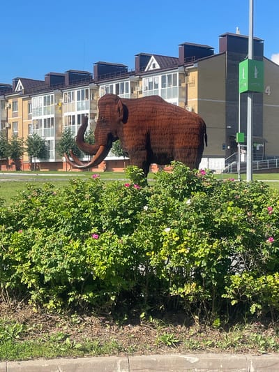 A metal sculpture of a mammoth stands on a grassy area next to a building complex. The mammoth sculpture is a rusty brown color and has large tusks. It is positioned in front of a multi-story building with a brick facade and many windows. A dense green bush with small pink flowers is in the foreground, partially obscuring the mammoth. The sky is clear and blue, suggesting it is daytime. There is a concrete curb to the right of the bush. Visible text on a green sign attached to a pole reads "4" and Cyrillic text which appears to be "ЮНИСТРОЙ". Another smaller green sign below it has Cyrillic text that reads "ЦВЕТЫ".