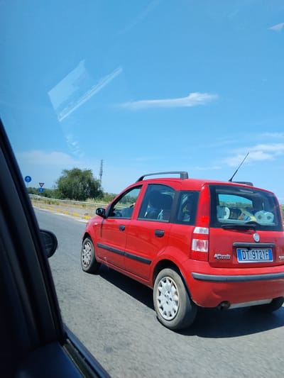 The image depicts a roadside scene in Bisceglie, Italy, observed from the front passenger perspective of a moving vehicle. A red, 2nd generation Fiat Panda, bearing the Italian license plate "DT 912YF", travels alongside and slightly ahead to the right of the observer. The red vehicle is fitted with a black roof rack. The rear cargo area is visibly occupied by several rolls of toilet paper and other miscellaneous items. A driver is visible through the front driver's side window. The asphalt road surface features a white guardrail and yellow-painted curbs on the left. Three road signs are present on the left: two blue circular signs indicating "straight ahead" (compulsory direction) and one red triangular "yield" sign. Behind the guardrail, a dense line of green trees and bushes flanks the road. In the distance, a tall cellular communication tower is visible against a clear, bright blue sky with sparse white clouds. Both vehicles appear to be in motion under daylight conditions.